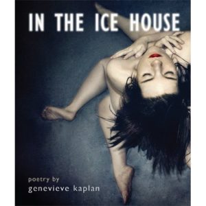 gk-ice-house-cover
